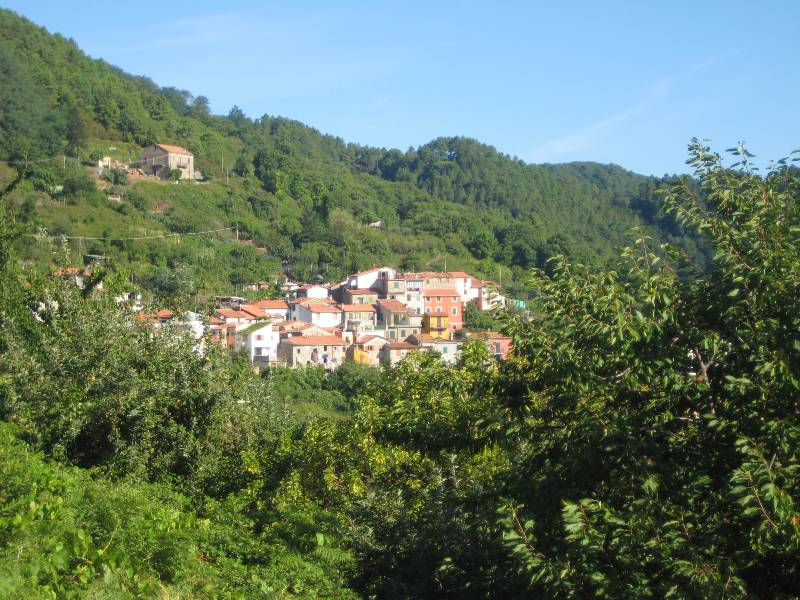 Campiglia